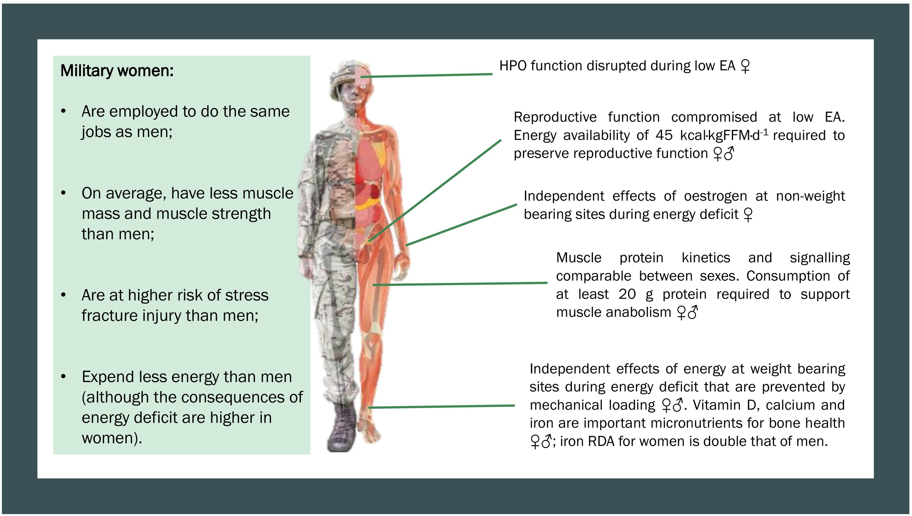 The physiological requirements of female soldiers as well as the consequences resulting from an energy deficit